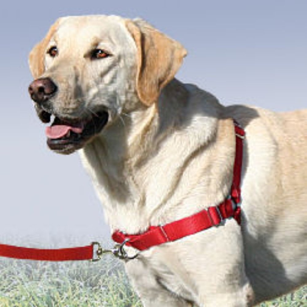 Easy Walk Dog Harness (NEW) Organic Bamboo Black